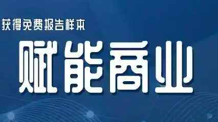 全面分析2025年奢侈鞋类市场